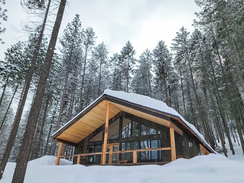 Woodlands Nest - modern cabin in the woods