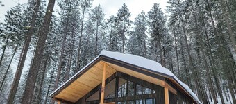 Woodlands Nest - modern cabin in the woods