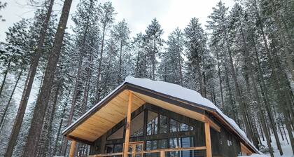 Woodlands Nest - modern cabin in the woods