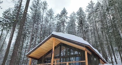 Woodlands Nest - modern cabin in the woods