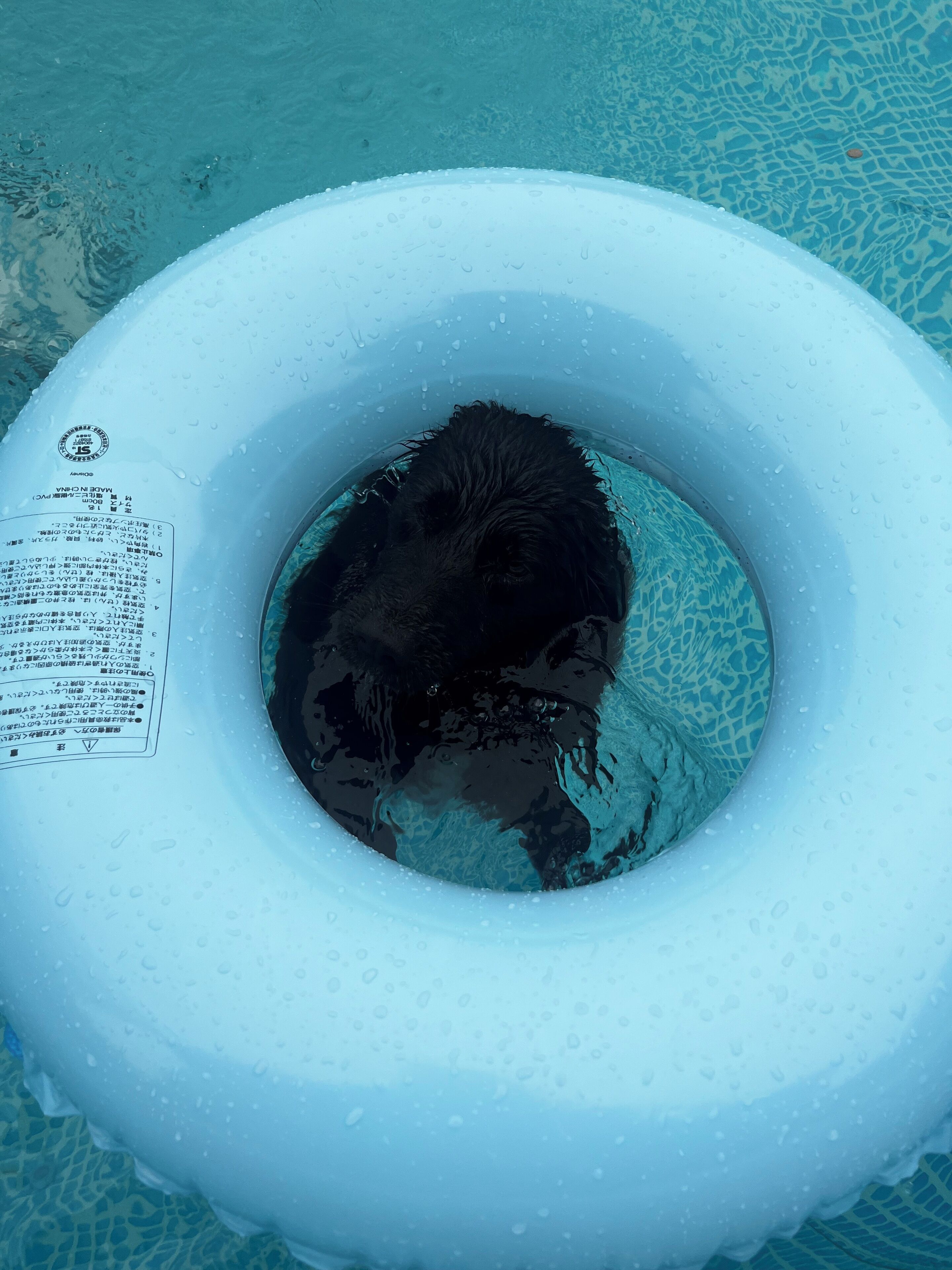 Una persona en una piscina con un flotador blanco.