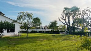 Taman