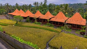 A row of traditional-style huts with thatched roofs, surrounded by lush greenery and rice fields.