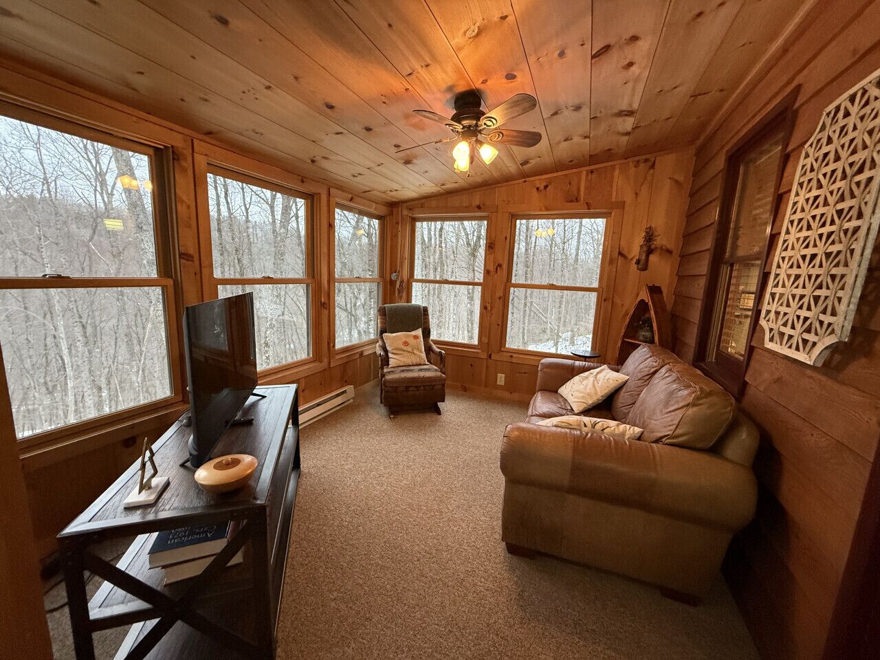 Smart TV, fireplace, books