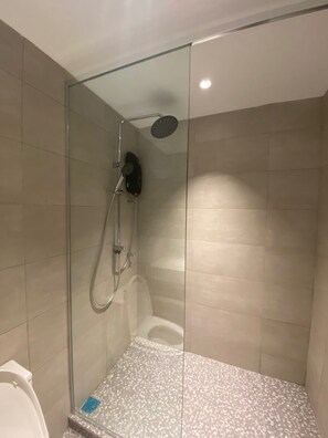 Shower, hair dryer, bidet, towels