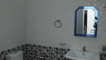 Shower, hair dryer, bidet, towels