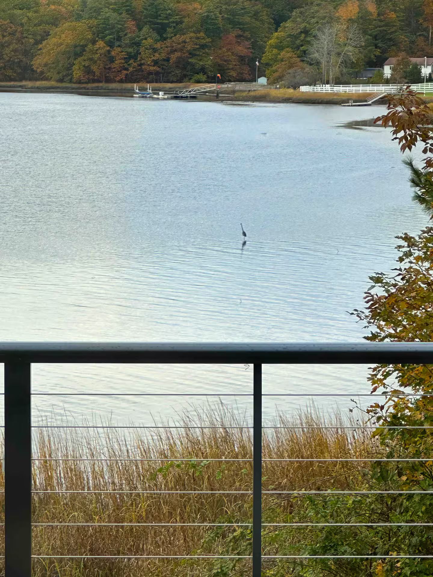 Boendeområde