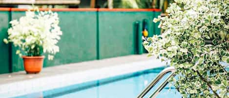 12 piscines extérieures