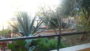 Un balcon avec une balustrade, un pot de fleurs et une vue sur un jardin où poussent différentes plantes et un arbre.