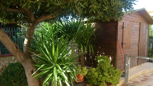 Un espace jardin agrémenté de diverses plantes, une clôture en bois et un chemin dallé menant à un bâtiment.