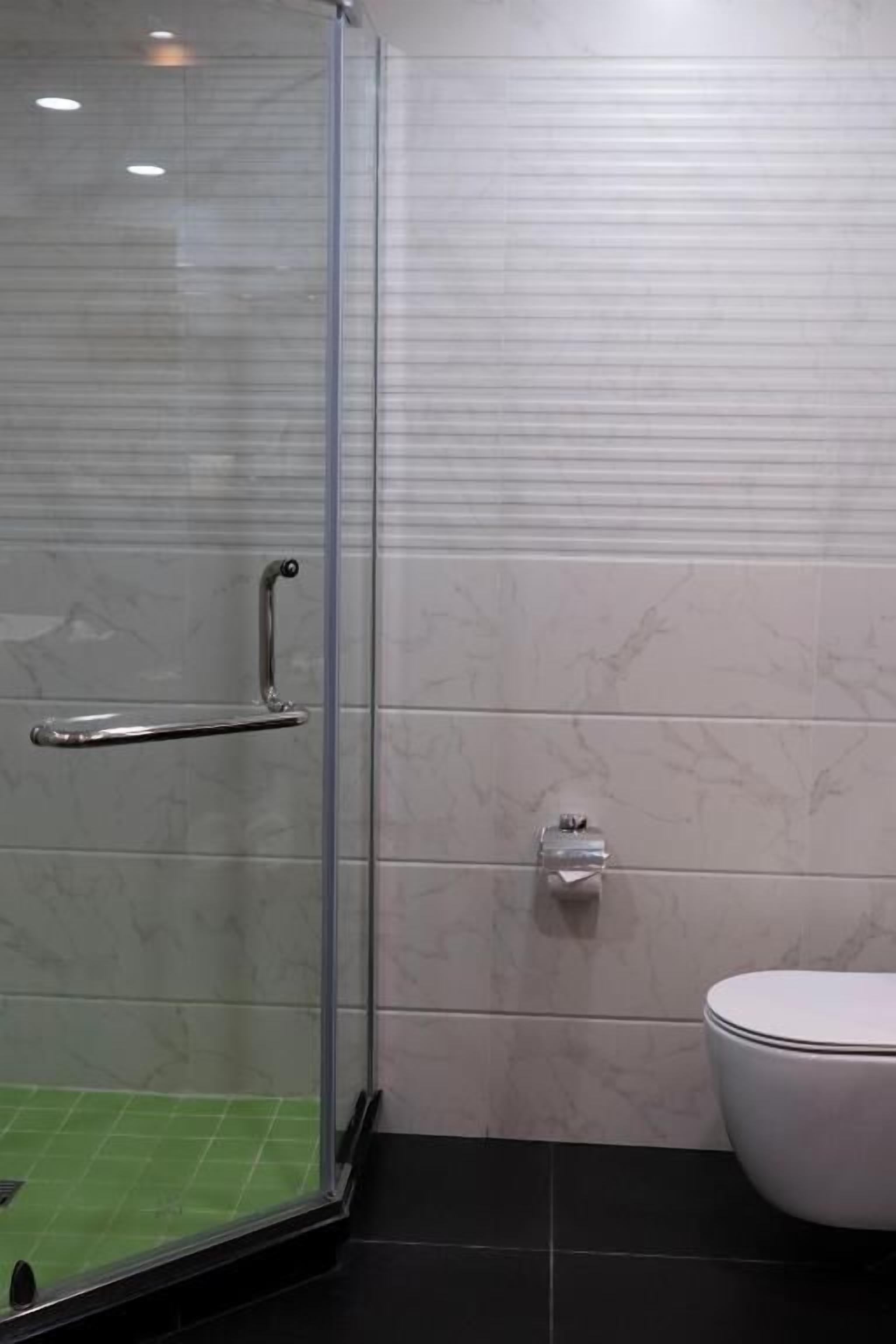 A bathroom with a glass shower enclosure, a toilet, and a handrail.
