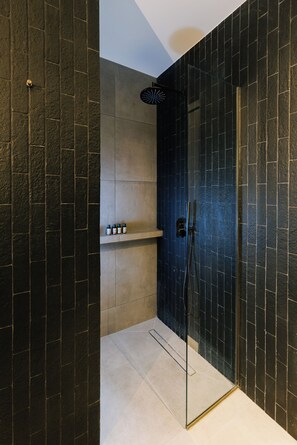 Douche, séchoir à cheveux, serviettes fournies, savon