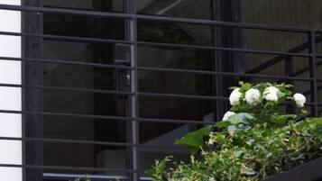 A building facade with large windows, a stone wall, and a climbing plant with white flowers.