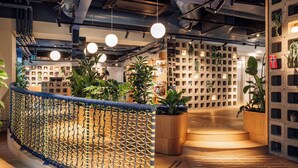 An indoor space with a wooden floor, a rope barrier, hanging lights, and a wall with square cutouts for plants. - Hobo Oslo (Oslo)