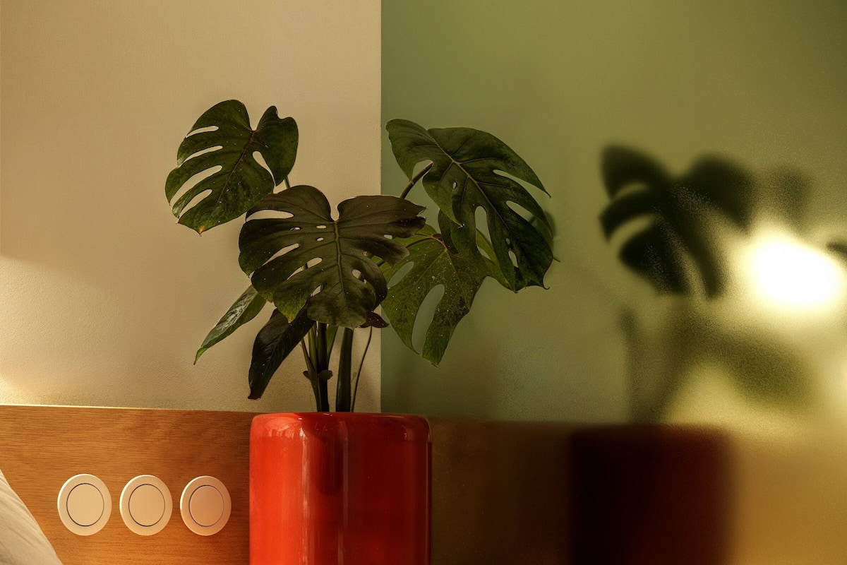 Habitació (Hobo Snug Courtyard) | 1 dormitori, roba de llit hipoal·lergògena i minibar