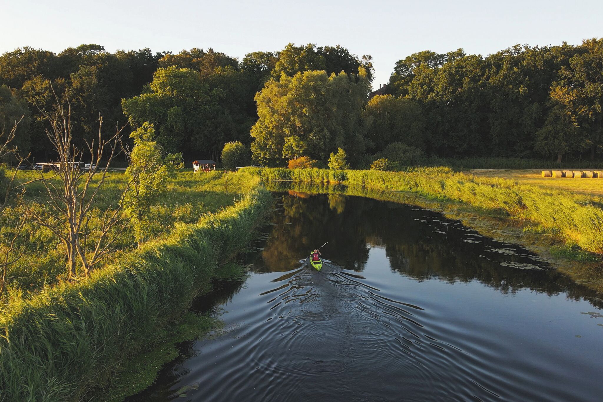 A calm river with a kayaker, surrounded by lush greenery and trees.