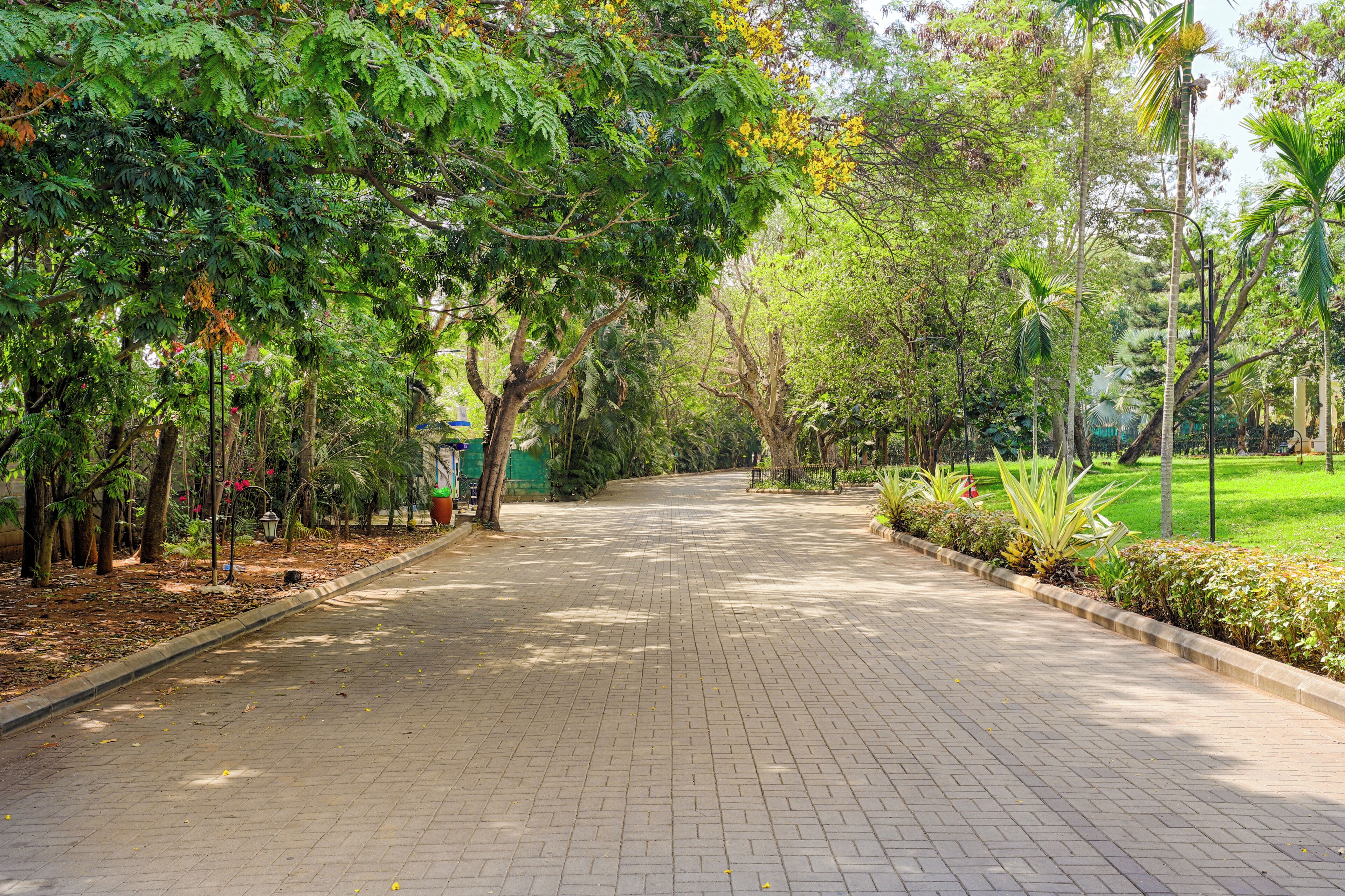 A paved pathway lined with trees and greenery, leading into a park area.
