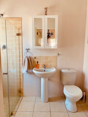 تجهيزات دش، مجففات شعر، مناشف، صابون