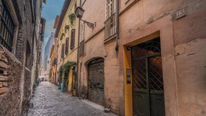 Una estrecha calle empedrada bordeada por edificios históricos con balcones y plantas en macetas.