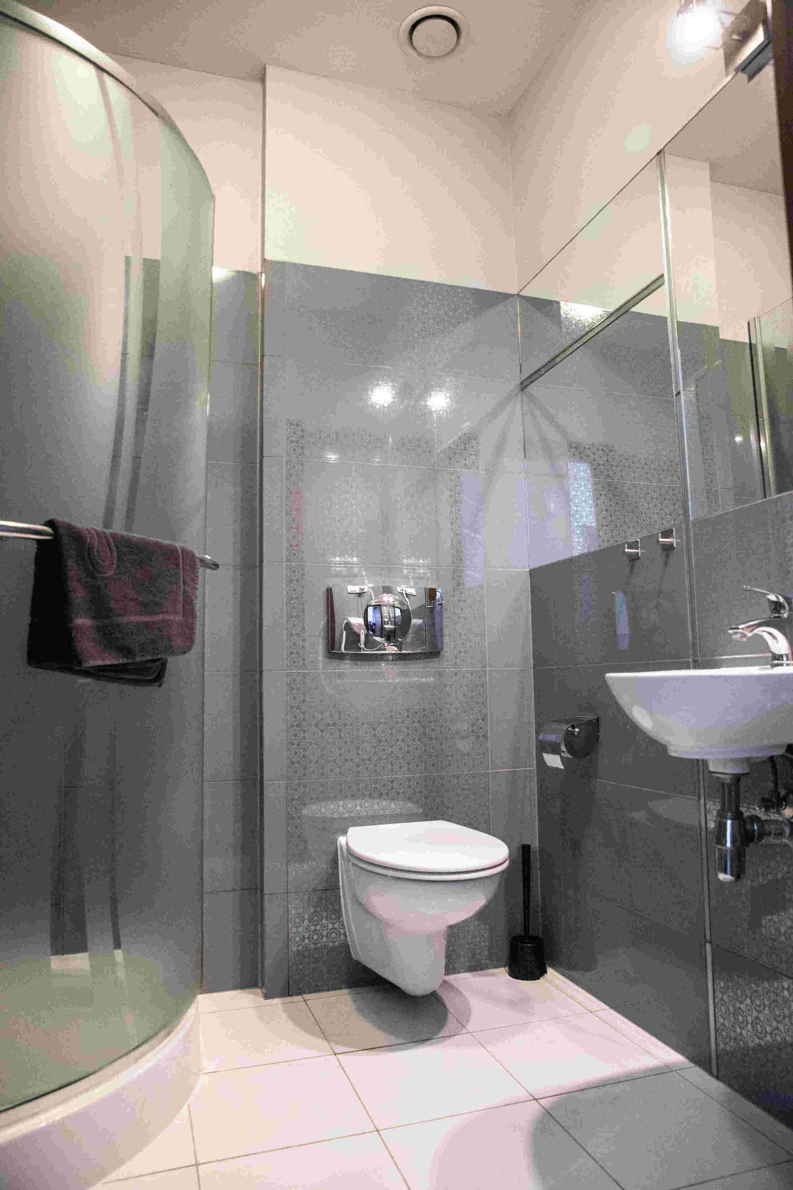 A modern bathroom with a glass shower enclosure, a toilet, and a sink.