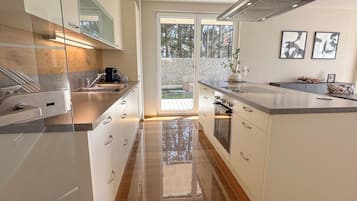 Fridge, oven, stovetop, dishwasher