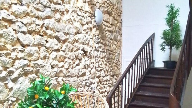 A staircase with a stone wall backdrop, a wooden handrail, and a potted plant with yellow flowers.