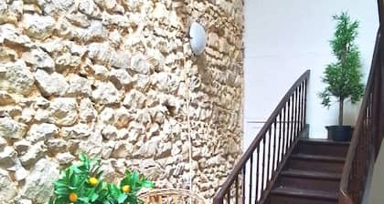 Valençay chic apartment 2 bedrooms-3 beds-Beauval at 23km