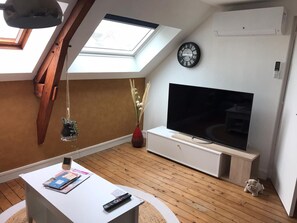 A modern living room with a skylight, a flat-screen TV, a wooden floor, and a small dog. - The workshop of dreams - 4 pers - wifi - air conditioning (Châteauroux)