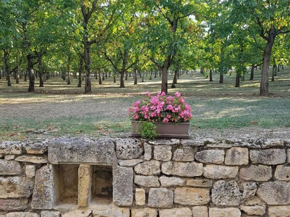 A stone wall with a flower pot in a park with trees.