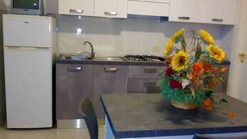Standard Apartment, 1 Bedroom, Air conditioning, Courtyard View | Private kitchen | Fridge, stovetop, cookware/dishes/utensils, freezer