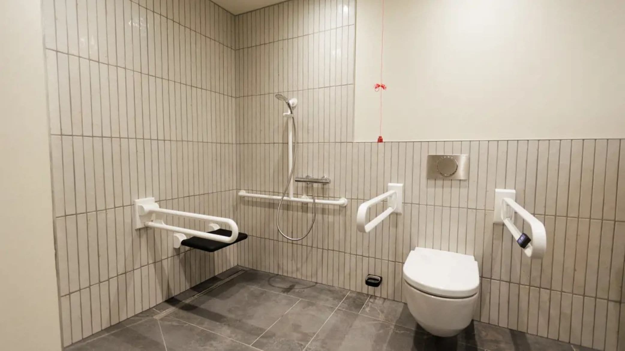 A bathroom with a toilet, a shower, and grab bars.