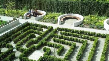 House | Property grounds