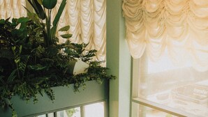 A cozy interior with a green sofa, wooden chairs, and a coffee table. There are potted plants and a large window with curtains.