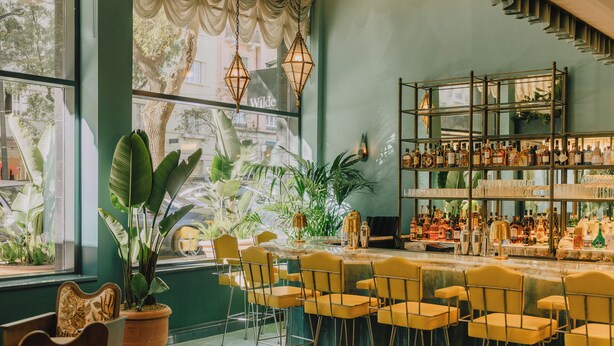 A bar area with a green wall, multiple plants, and a variety of bottles and glasses on shelves.