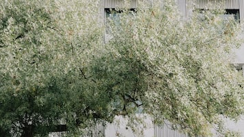 Fachada del alojamiento