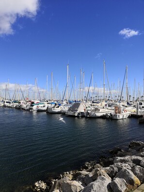 Marina