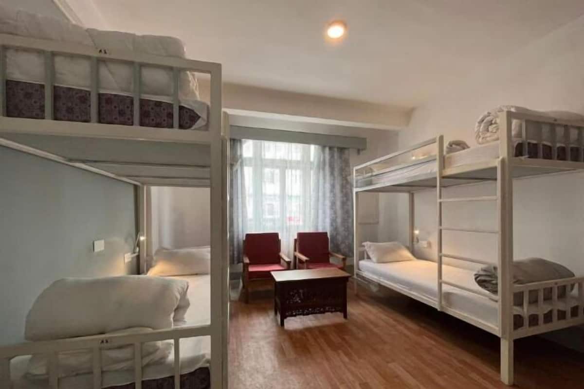 Dormitorio compartido Confort, vista a la montaña | Escritorio y espacio para trabajar con laptop