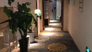 Un pasillo de hotel con alfombra estampada con motivos florales, una planta en maceta y barandilla de vidrio.