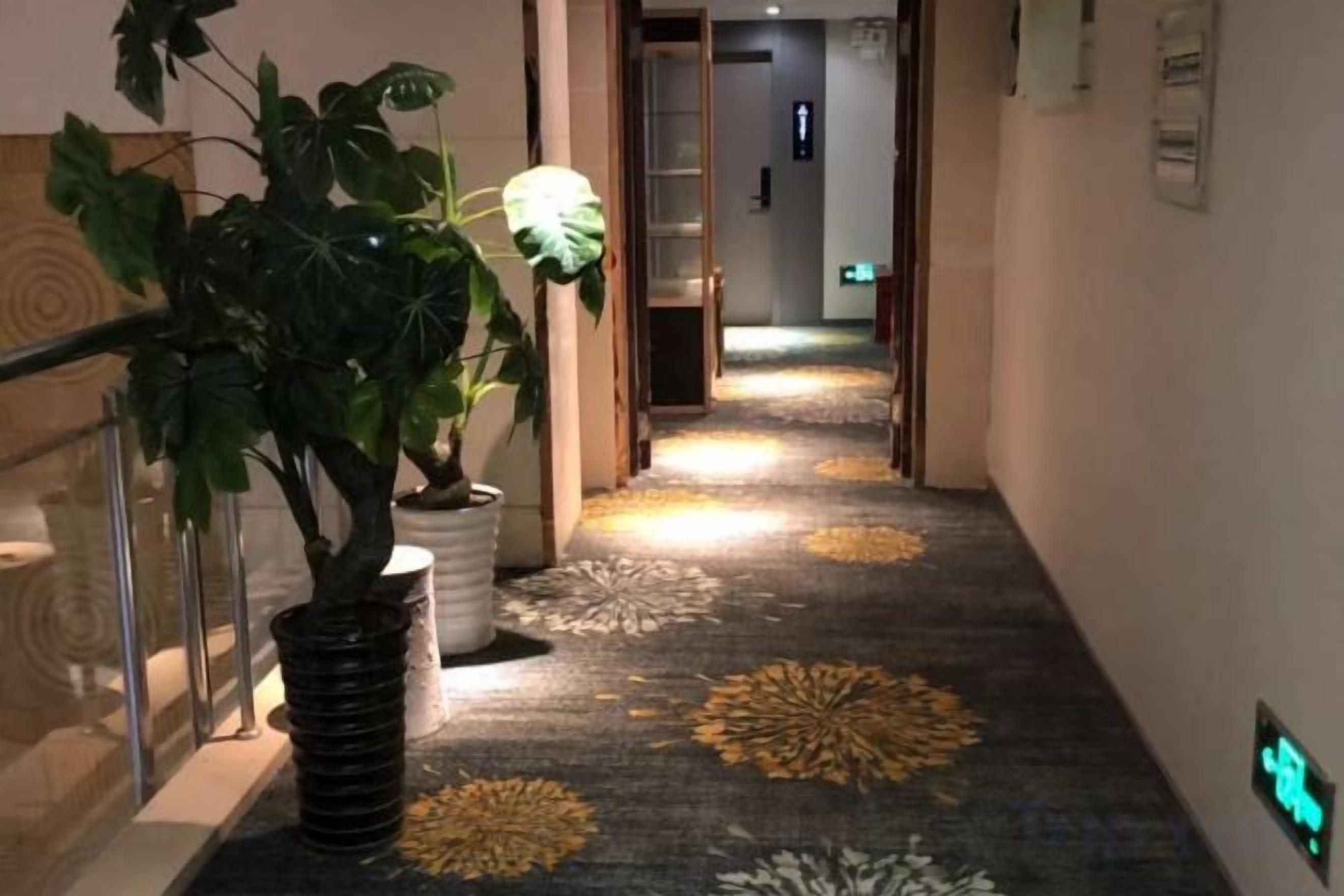 A hallway with a carpet featuring a floral pattern, potted plants, and a handrail on the left.