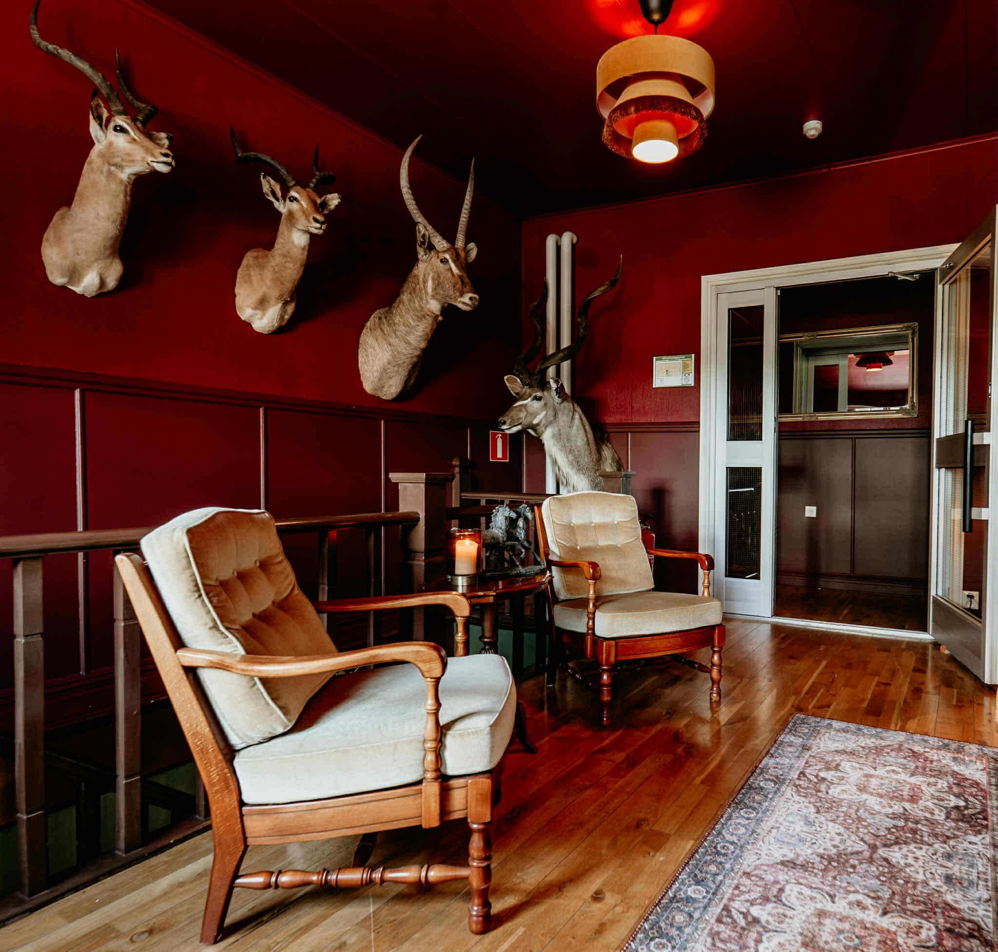 A room with wooden flooring, two upholstered chairs, a table with a candle, and mounted animal heads on the wall.