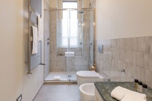 Shower, hair dryer, bidet, towels