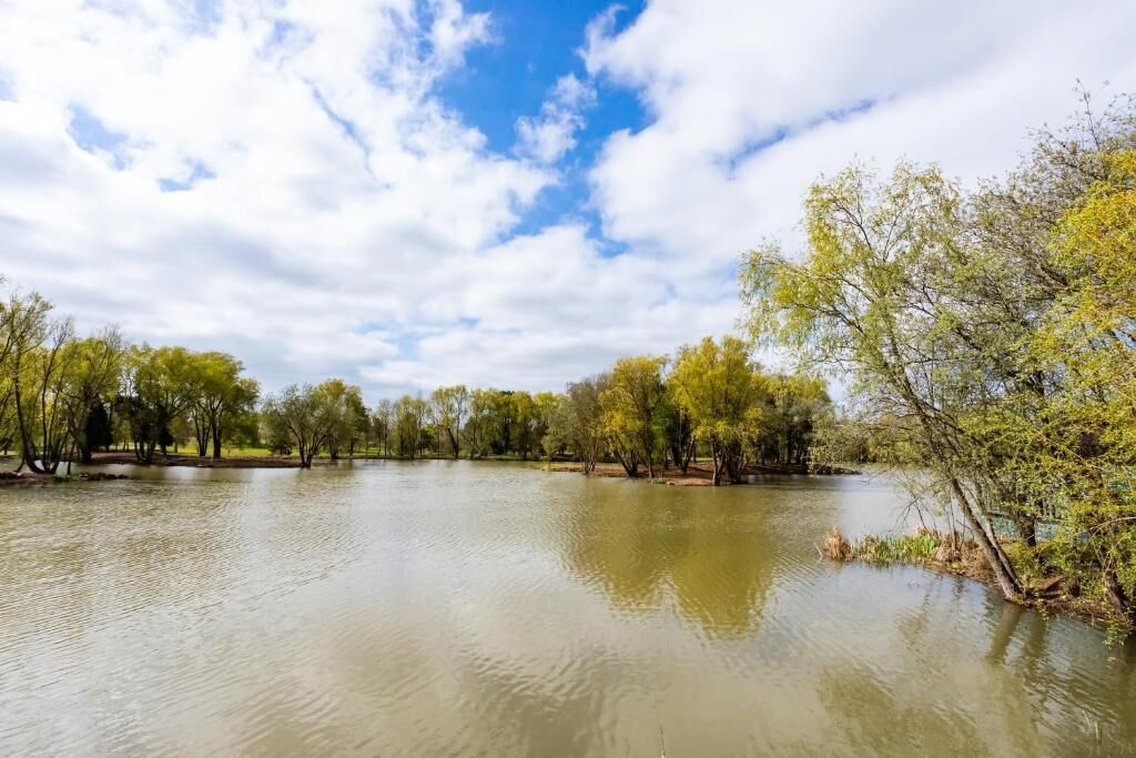 A calm lake surrounded by trees and a clear sky.