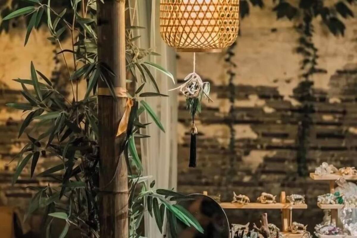 Una planta de bambú, un llum penjant i una estant amb objectes decoratius.
