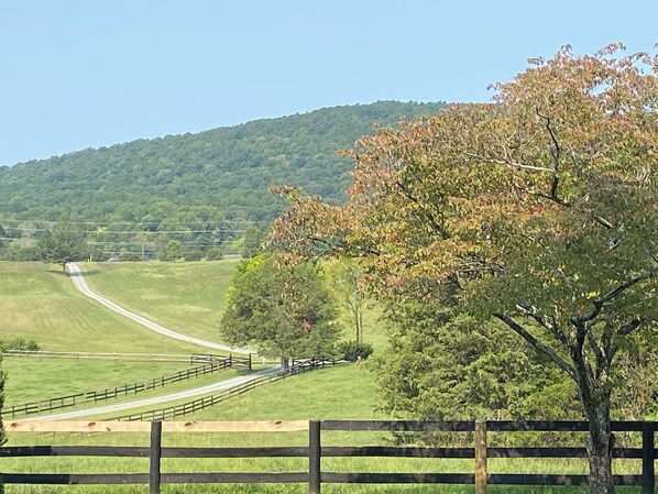 Paisaje rural con un camino de tierra que serpentea por campos, una valla de madera y una colina al fondo.