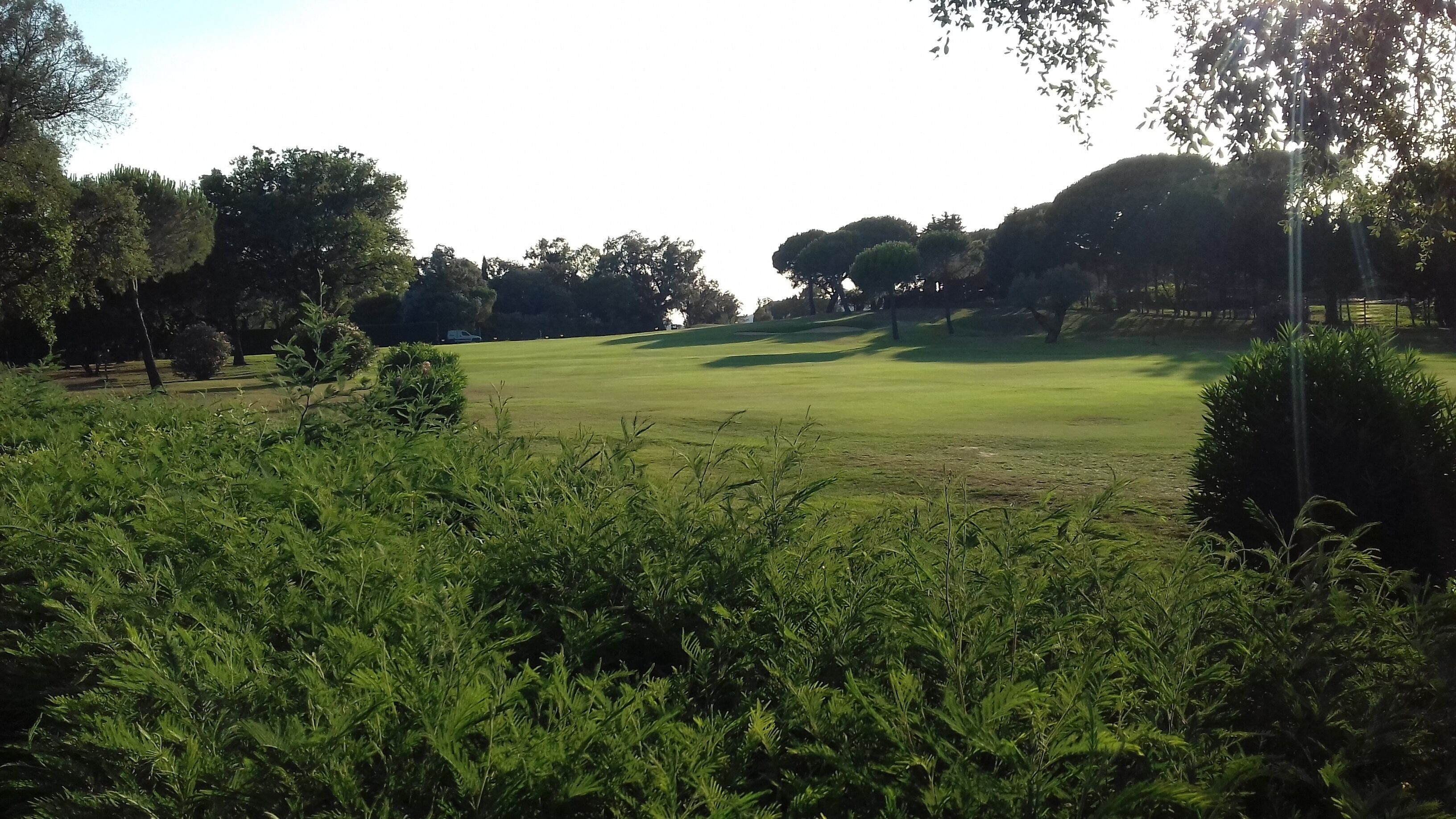 En golfbana med en välskött gräsyta, omgiven av tät buskvegetation och träd.