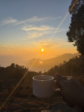 Khu tổ chức đại tiệc ngoài trời