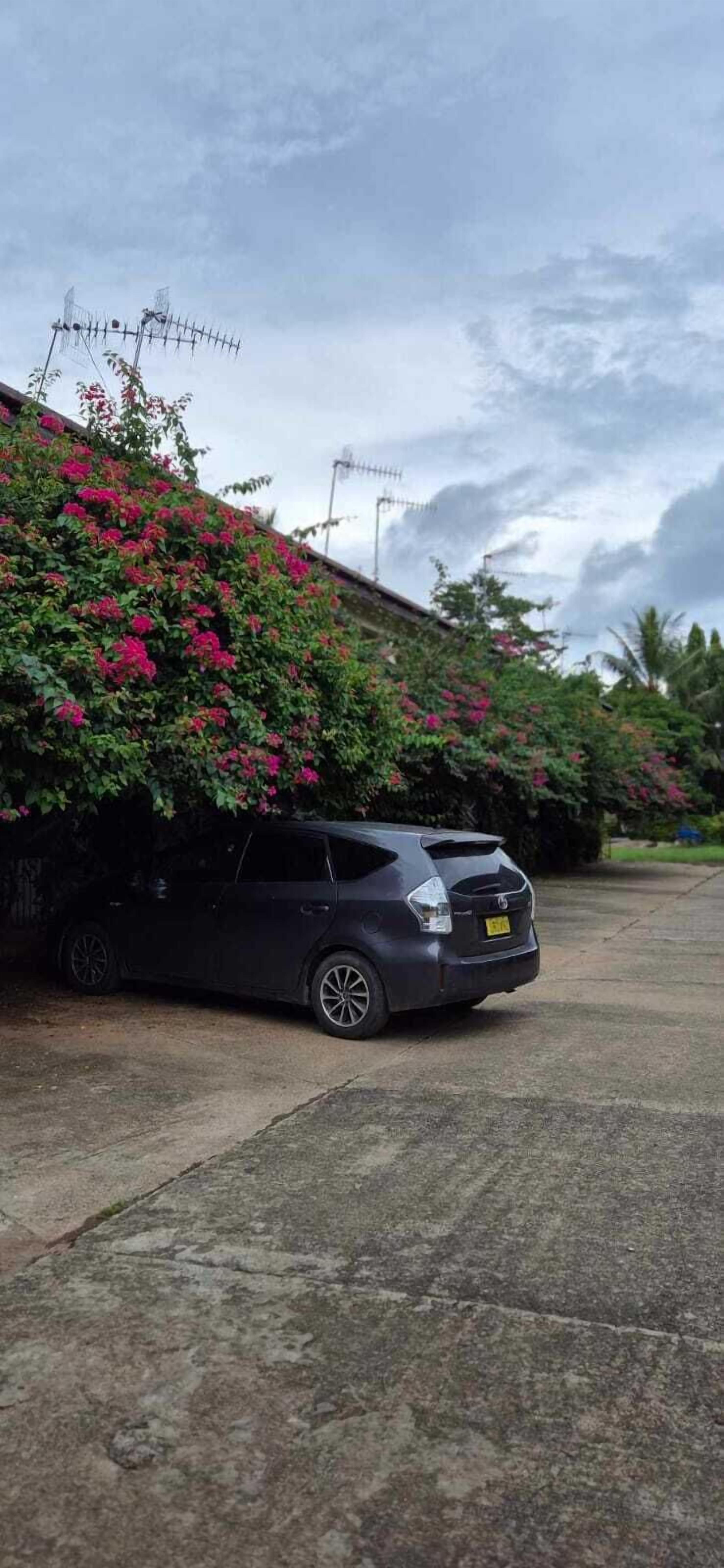 Foto - BlueLight Village Hotel