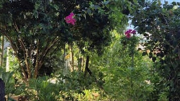 Outdoor banquet area