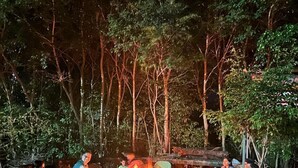Un groupe de personnes est assis autour d’un feu de camp dans un cadre extérieur, avec des arbres en arrière-plan.