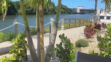 Un banco de madera con una cerveza y una bebida, rodeado de plantas tropicales y vistas a un río.